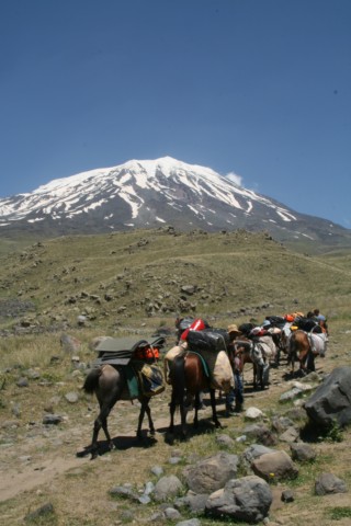 Ararat Trek to 1st Camp []